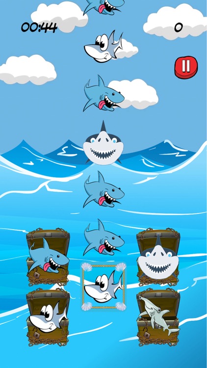 Group The Shark