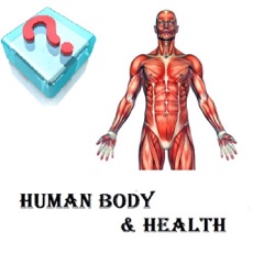 Activities of Quiz Your Body