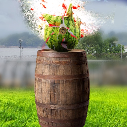 Watermelon Shooting Simulator icon