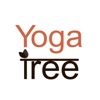 Yoga Tree - Baltimore