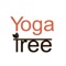 Download the Yoga Tree Baltimore App today