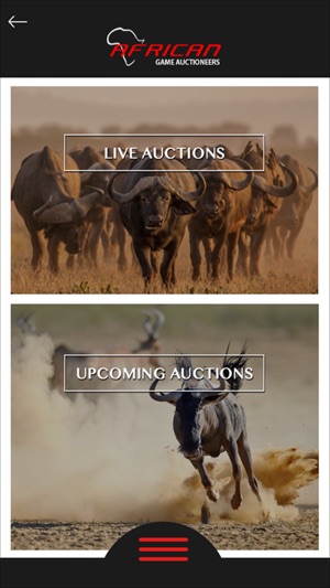 African Game Auctioneers