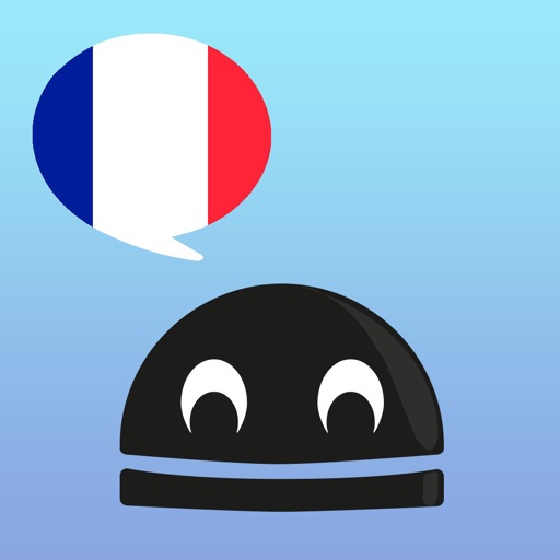 French Verbs Pro - LearnBots icon
