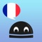 Welcome to 'French Verbs Pro' the FULL version of our award winning LearnBots App