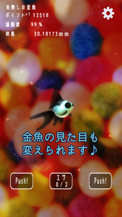 金魚ドリーム screenshot1