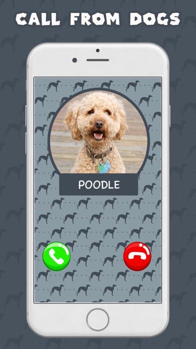 Call From Puppy Dog screenshot 2