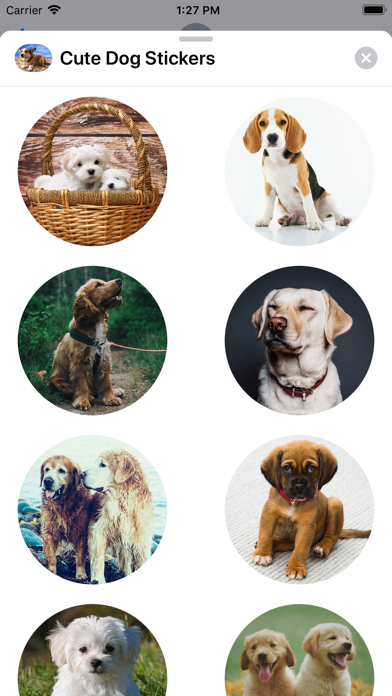 Cute Dog Sticker Set screenshot 2