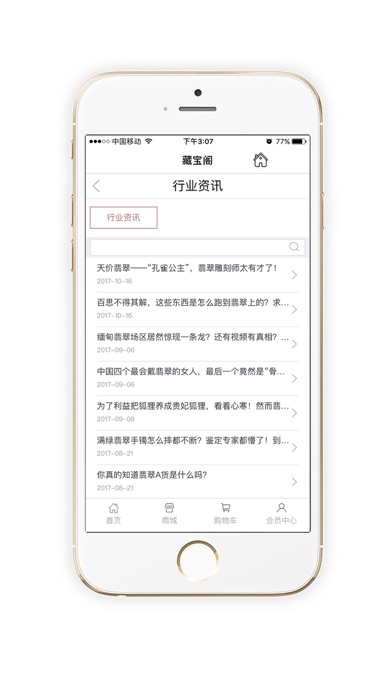 藏宝阁 screenshot 3