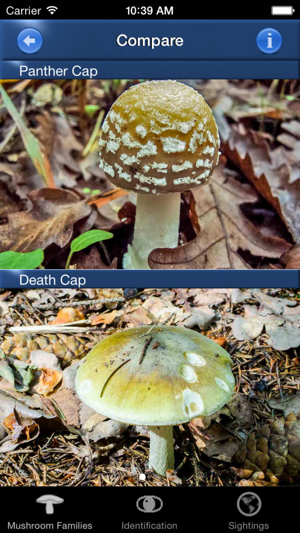 Mushroom Id Guide - UK(圖4)-速報App