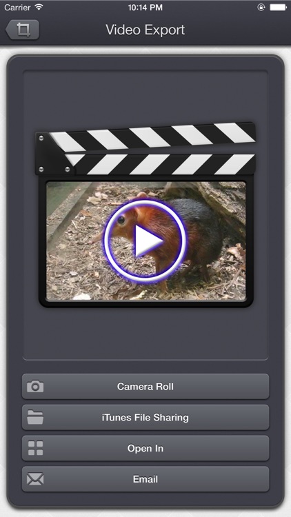 Video Crop & Zoom - HD screenshot-4