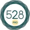528 Player Pro-Ophir Paz