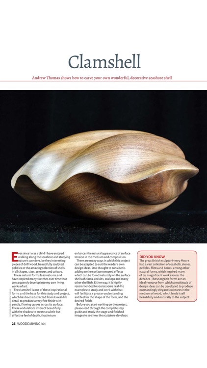 Woodcarving Magazine screenshot-4