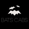 BATS MINICABS WHITTON