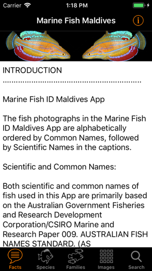 Marine Fish Maldives(圖2)-速報App