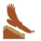 The first raptor identification app designed for mobile devices; "HawkWatch International's Identification Guide to Raptors" puts expert hawk identification content in the palm of your hand
