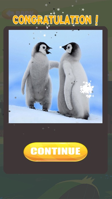 Penguin Animal Jigsaw Puzzle screenshot 4