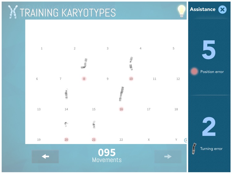 Training Karyotypes Lite