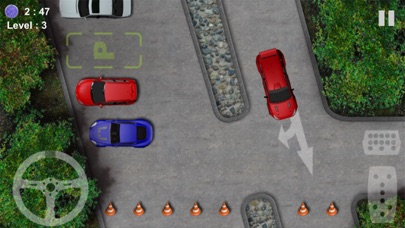 Parking-Driving Test screenshot 2