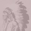 Native American Wisdom Deck