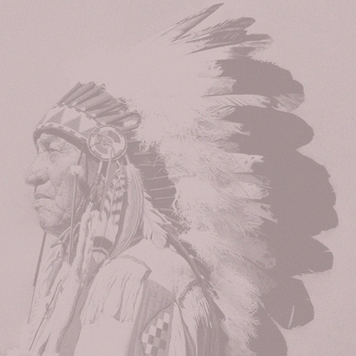 Native American Wisdom Deck icon