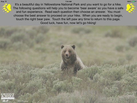 Bear Encounter screenshot 2