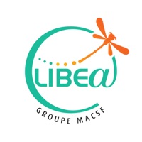 LIBEA Assistance Auto pour PC