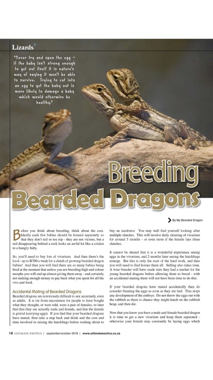 Ultimate Exotics Magazine screenshot-3