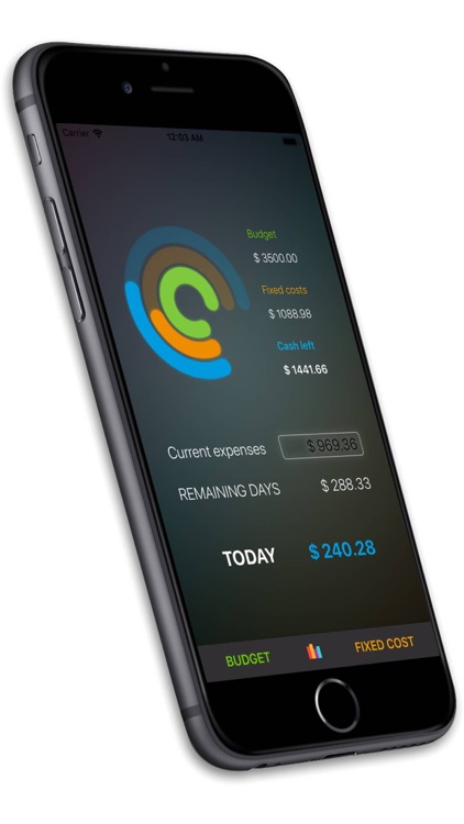 Cash Per Day