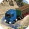 Duty Truck Cargo Mountain is very dangerous and adventurous as well in the long driving game all new transport