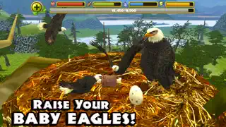 Eagle Simulator - Screenshot 2