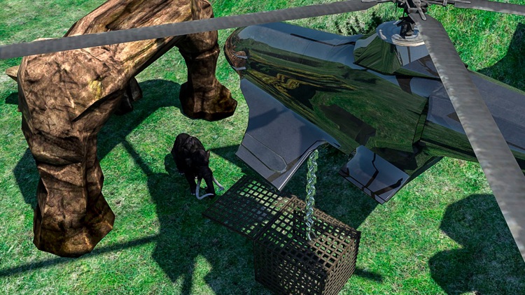 Animals Fire Escape in Jungle screenshot-3