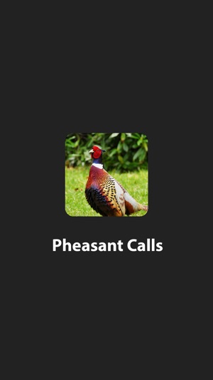 Pheasant Calls(圖2)-速報App