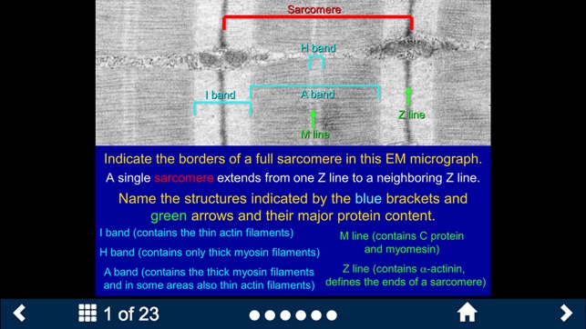 Histology - Basic Tissues(圖5)-速報App