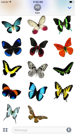 Real Butterfly Stickers(圖2)-速報App