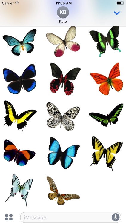 Real Butterfly Stickers