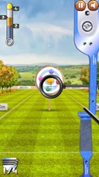 Archery World Tour 3D Captura de tela 6