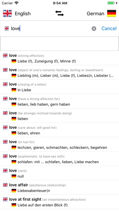 German/English Dictionary screenshot 3