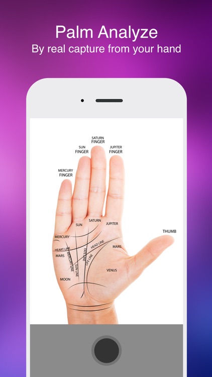 X Palmistry - Online Palm Read