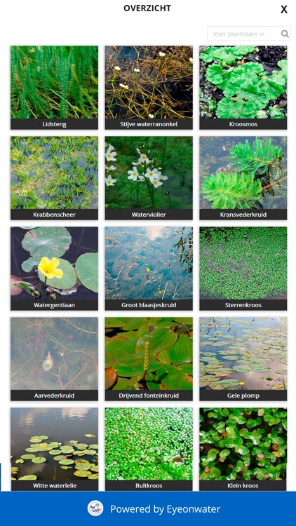 HDSR water en oeverplanten