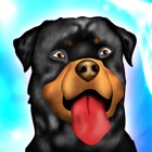Dog Agility Obstacles Dressage Race Contest - Free Edition icon