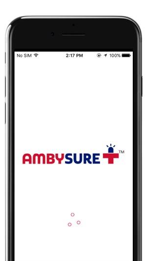 Ambysure