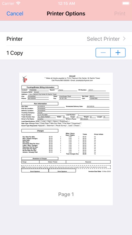 Pilot Invoice