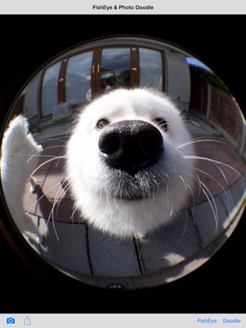 【图】FishEye Camera & Photo Doodle(截图3)