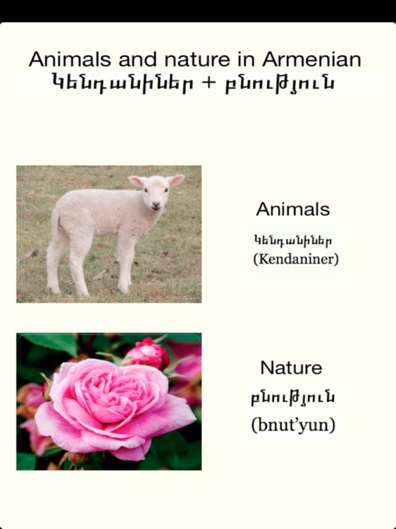 Armenian Animals &Nature Audio