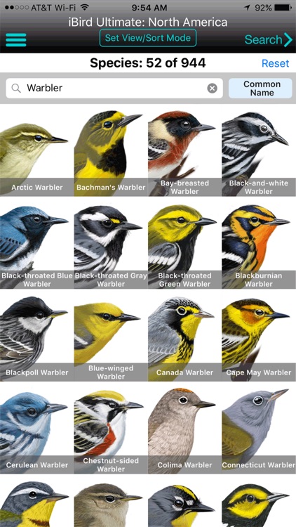 iBird Ultimate Guide to Birds
