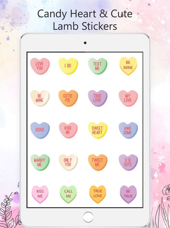 Little Lamb  Sweet Heart