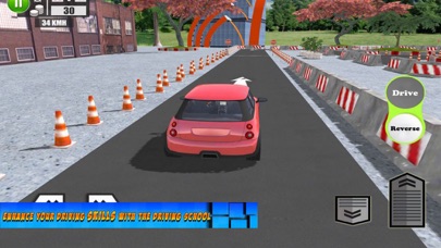 Car Driving Test Skill screenshot 3