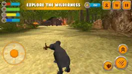 Game screenshot Koala Simulator: Wildlife Game apk