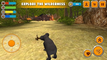 Koala Simulator: Wildlife Game screenshot 2