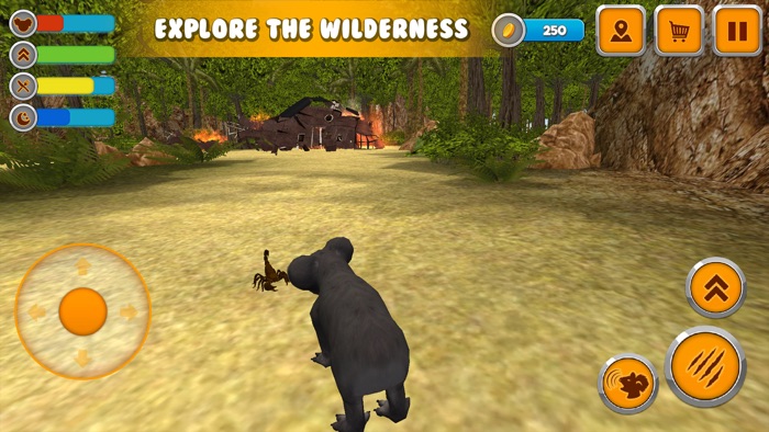 Koala Simulator Wildlife Game